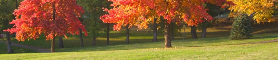 DSCF4672_fall _slice