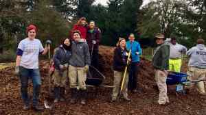2-18-17-mulching_cmp