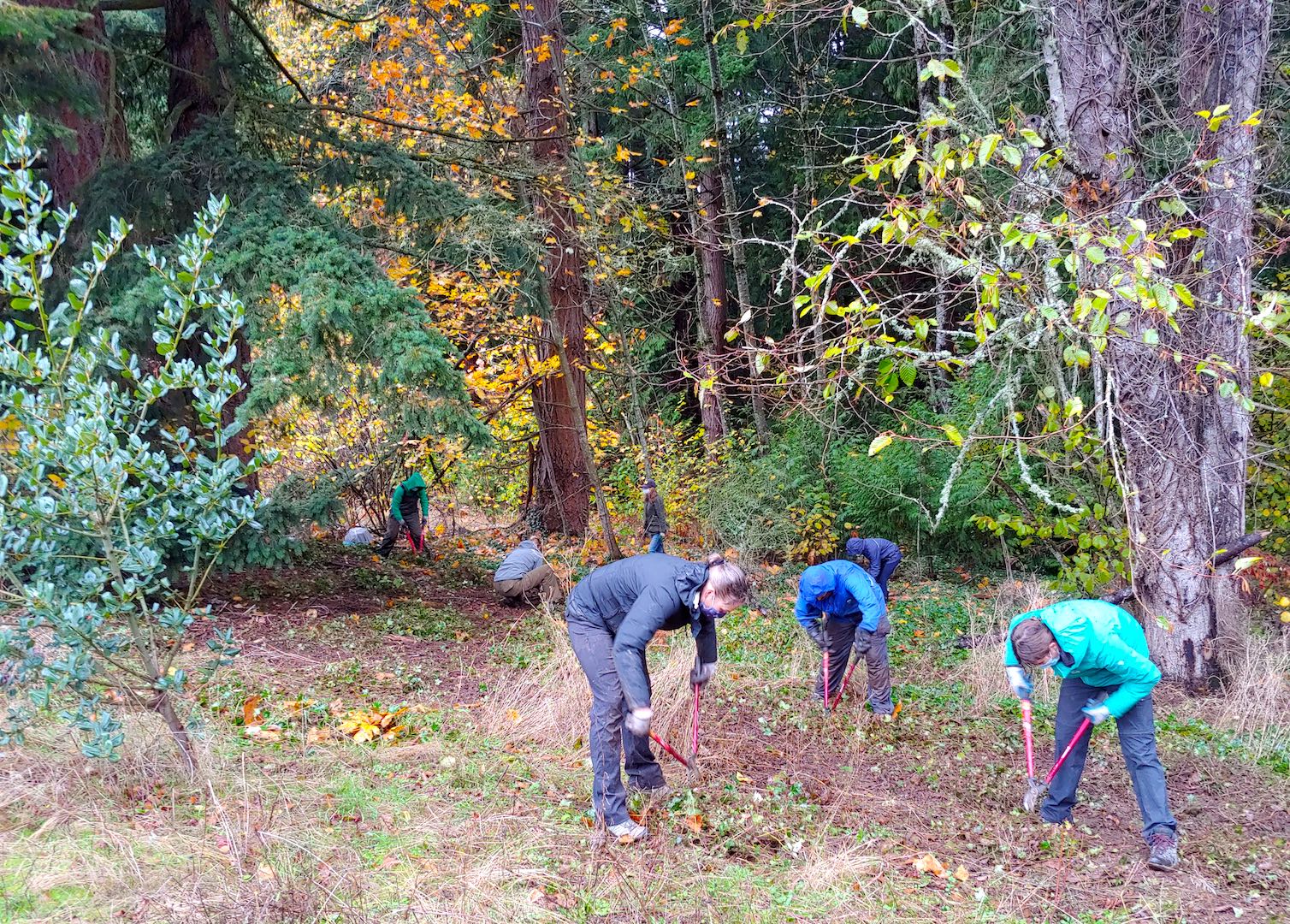 20201114_105513-1080