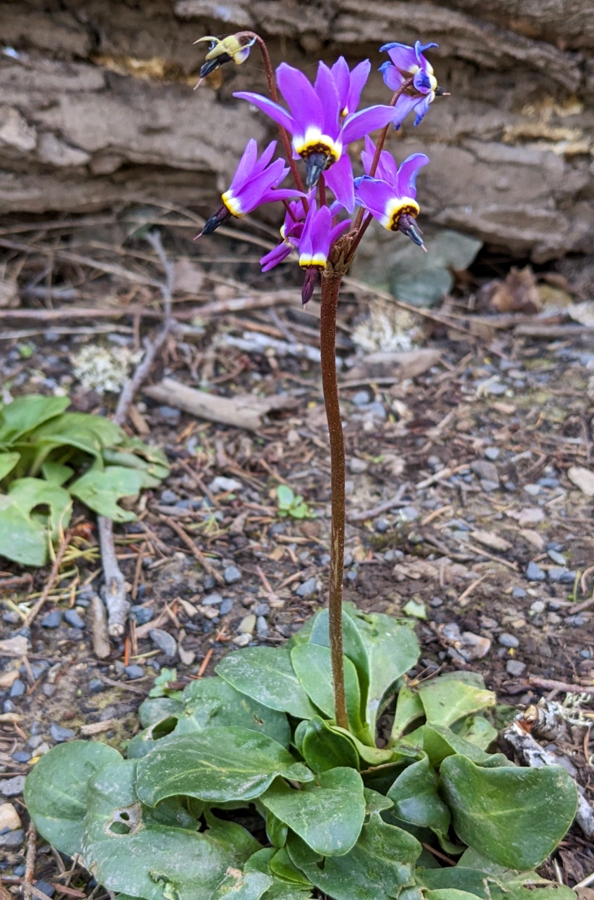 PXL_20230429_164537082 cc